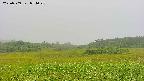 area3-20230909074024.jpg
