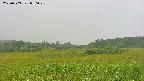 area3-20230909080024.jpg