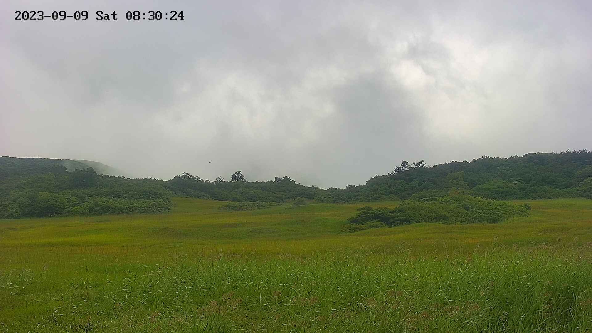 area3-20230909083026.jpg