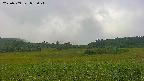area3-20230909083026.jpg