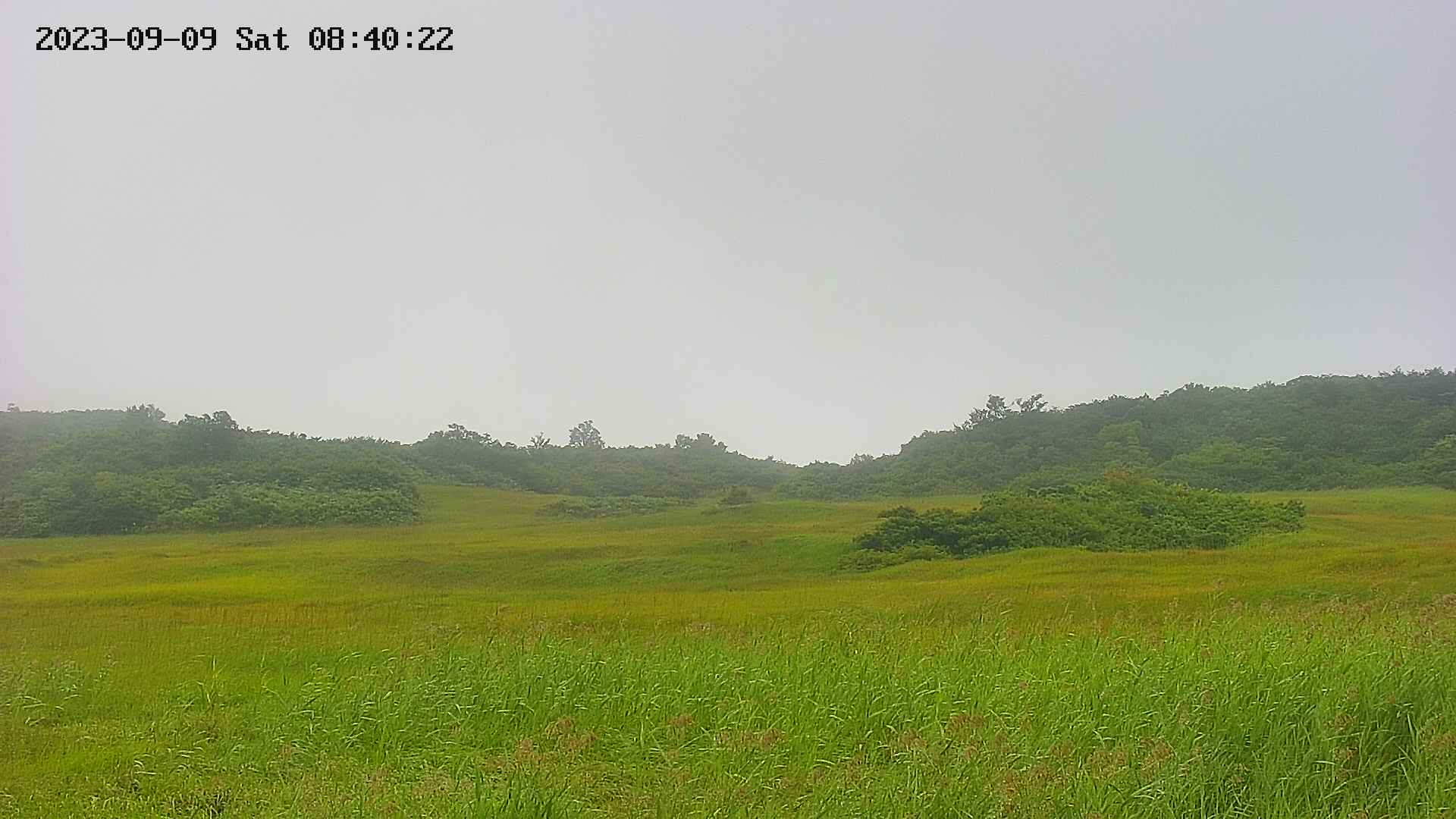 area3-20230909084024.jpg