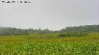 area3-20230909084024.jpg
