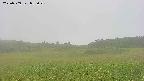 area3-20230909085024.jpg