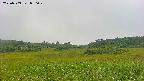 area3-20230909090024.jpg