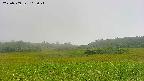 area3-20230909103025.jpg