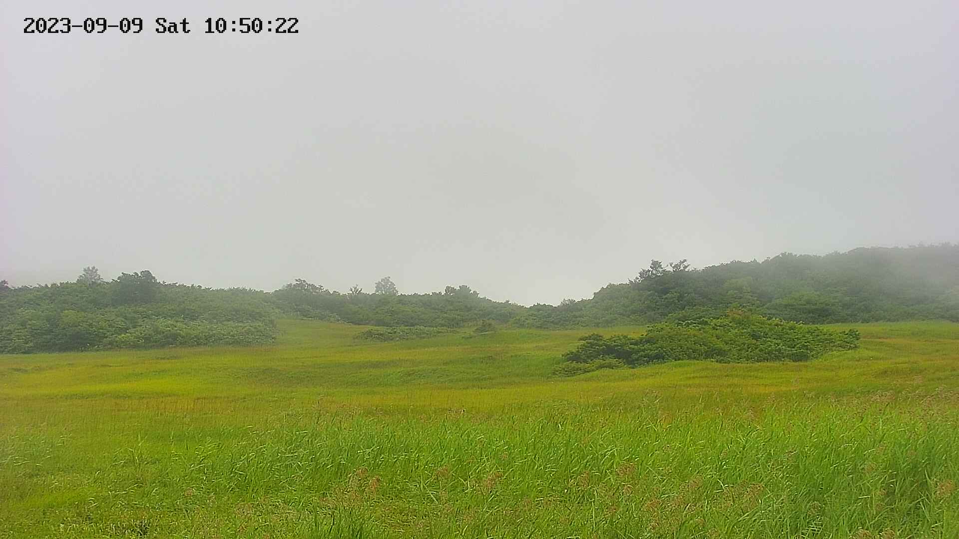 area3-20230909105023.jpg