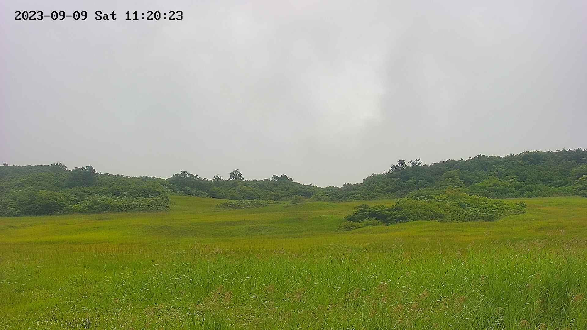 area3-20230909112026.jpg