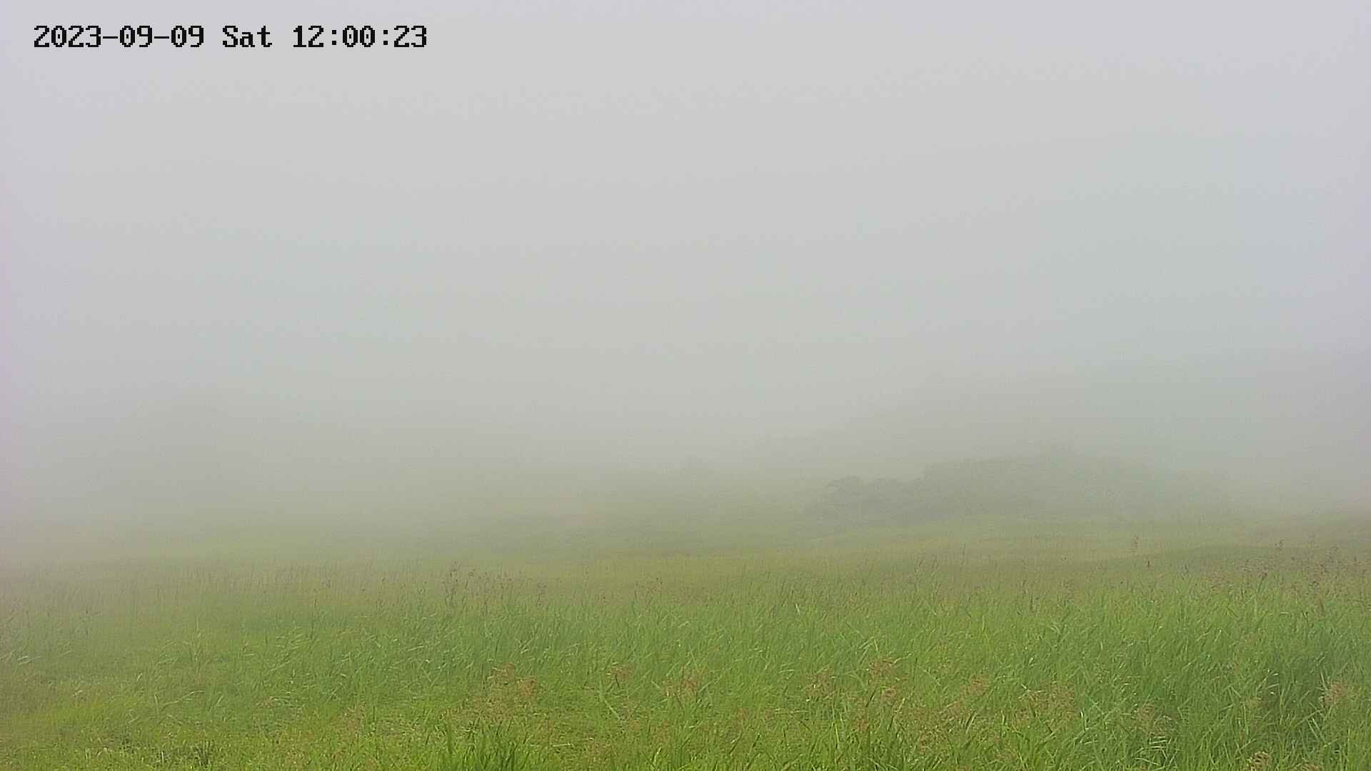 area3-20230909120024.jpg