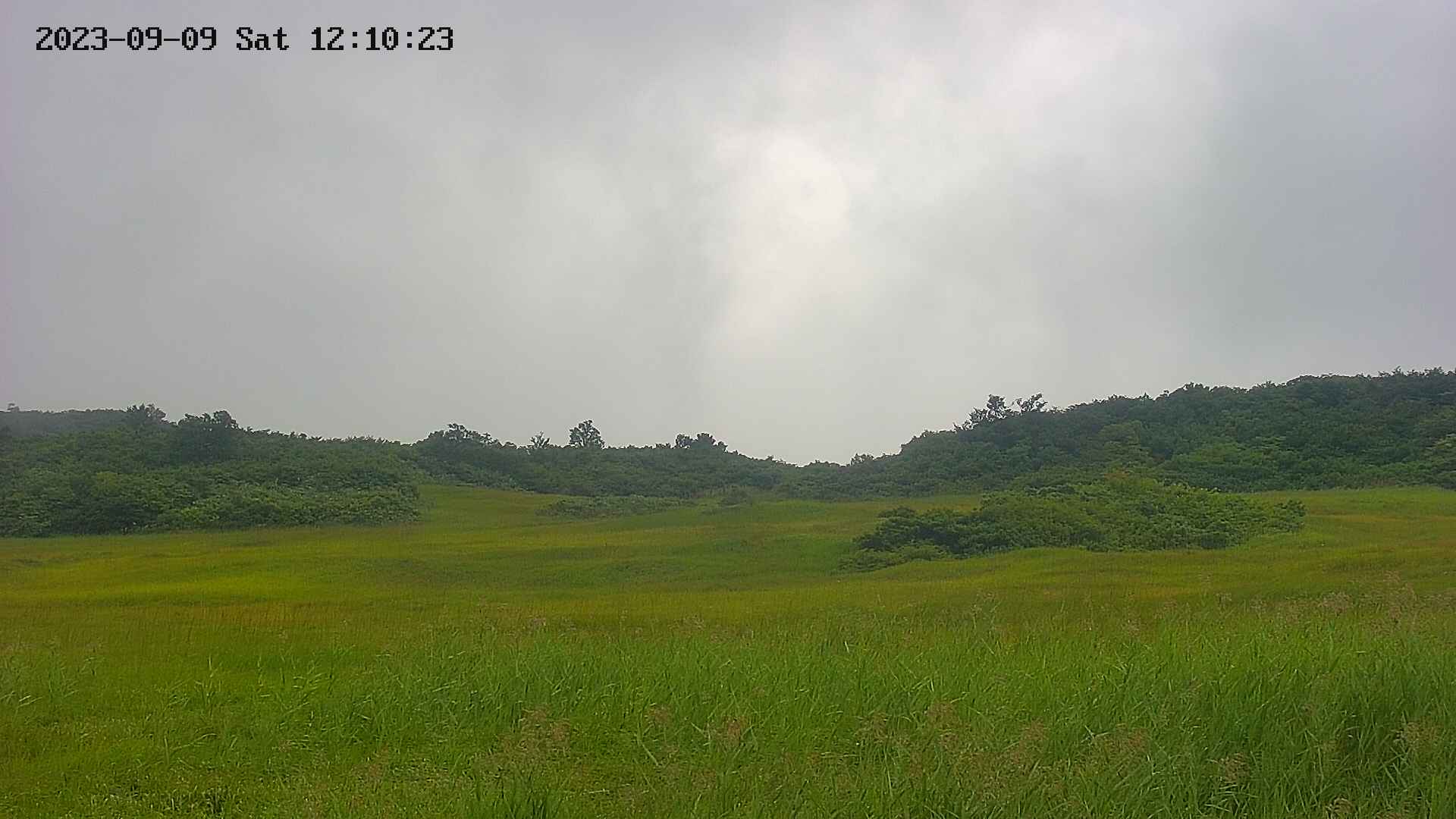 area3-20230909121024.jpg