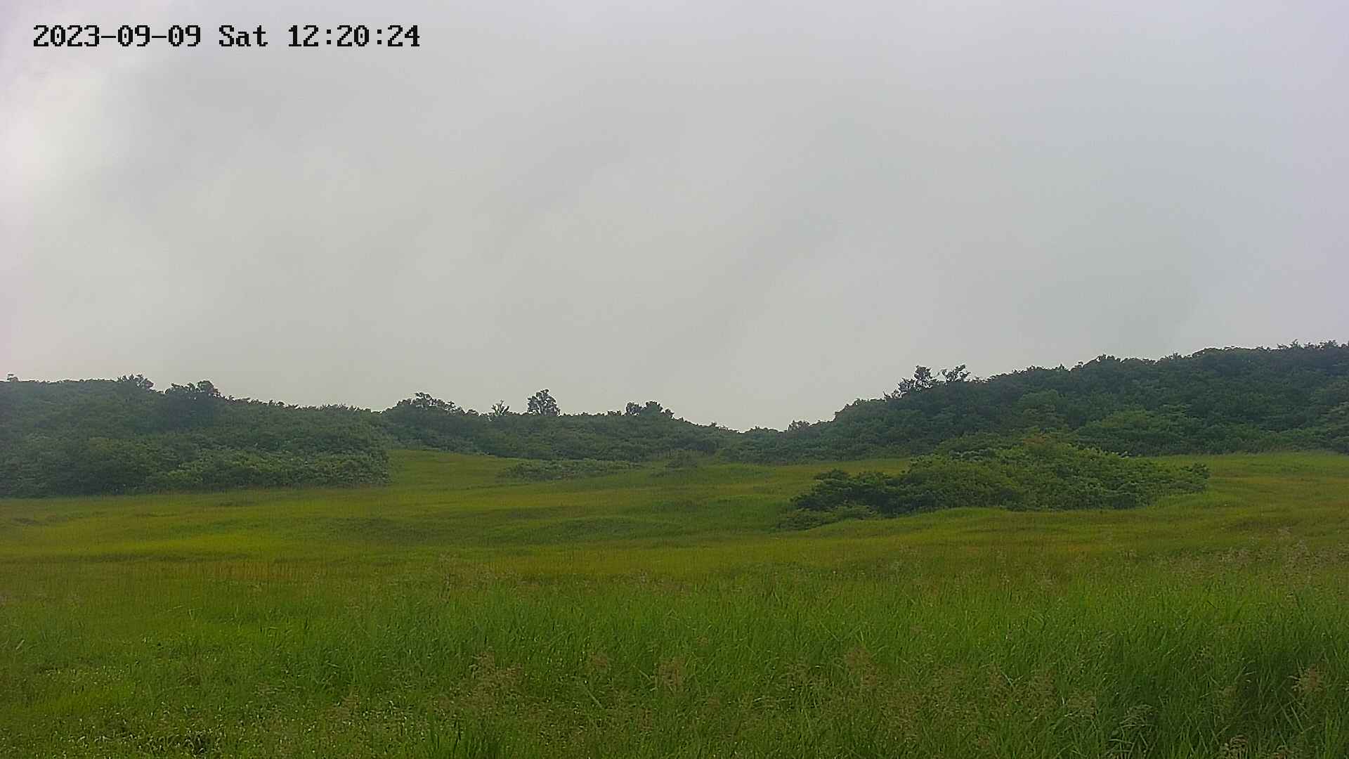 area3-20230909122025.jpg