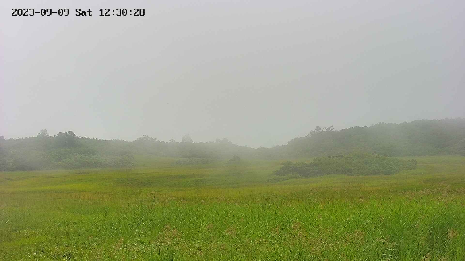 area3-20230909123041.jpg