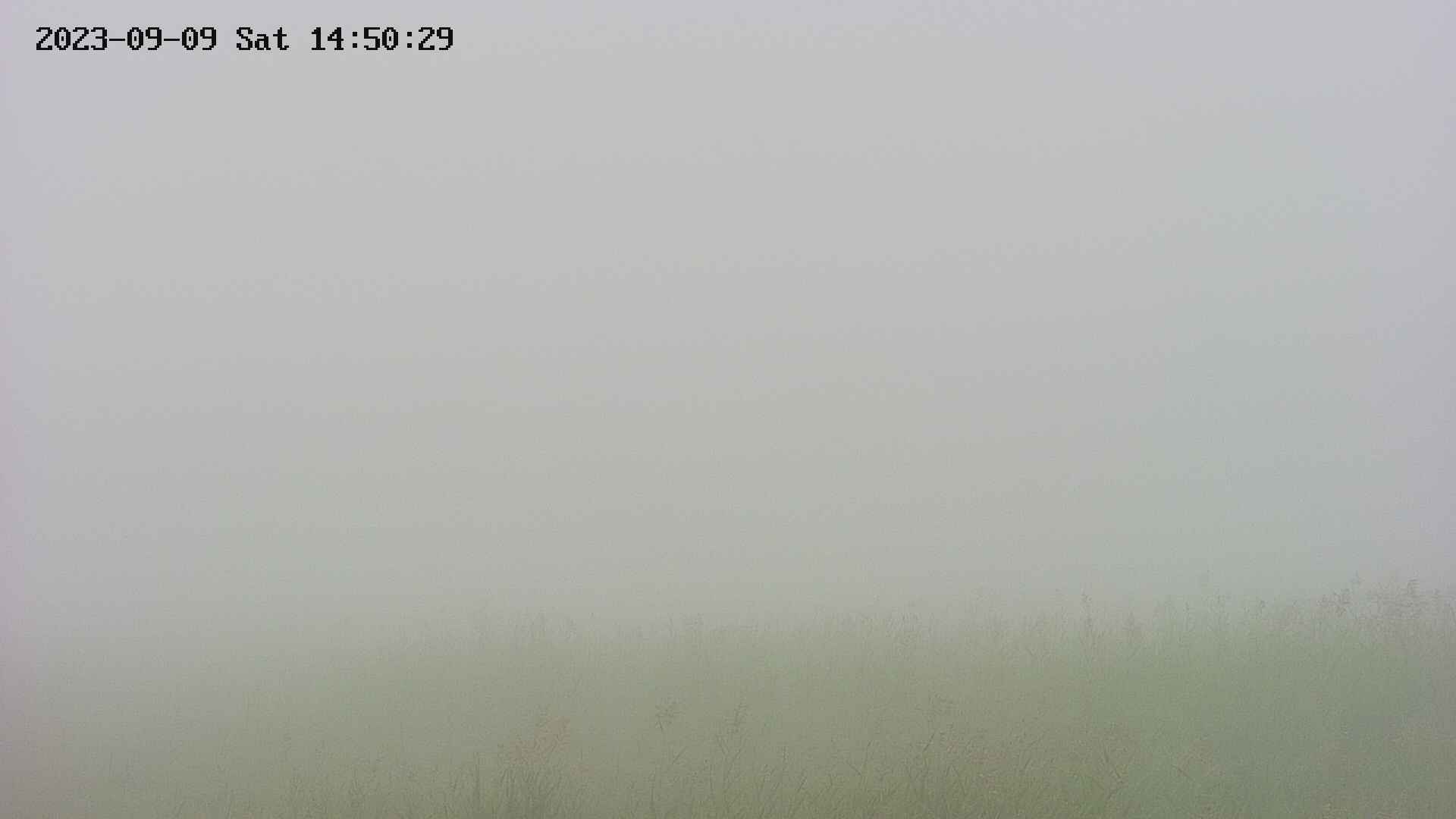 area3-20230909145034.jpg