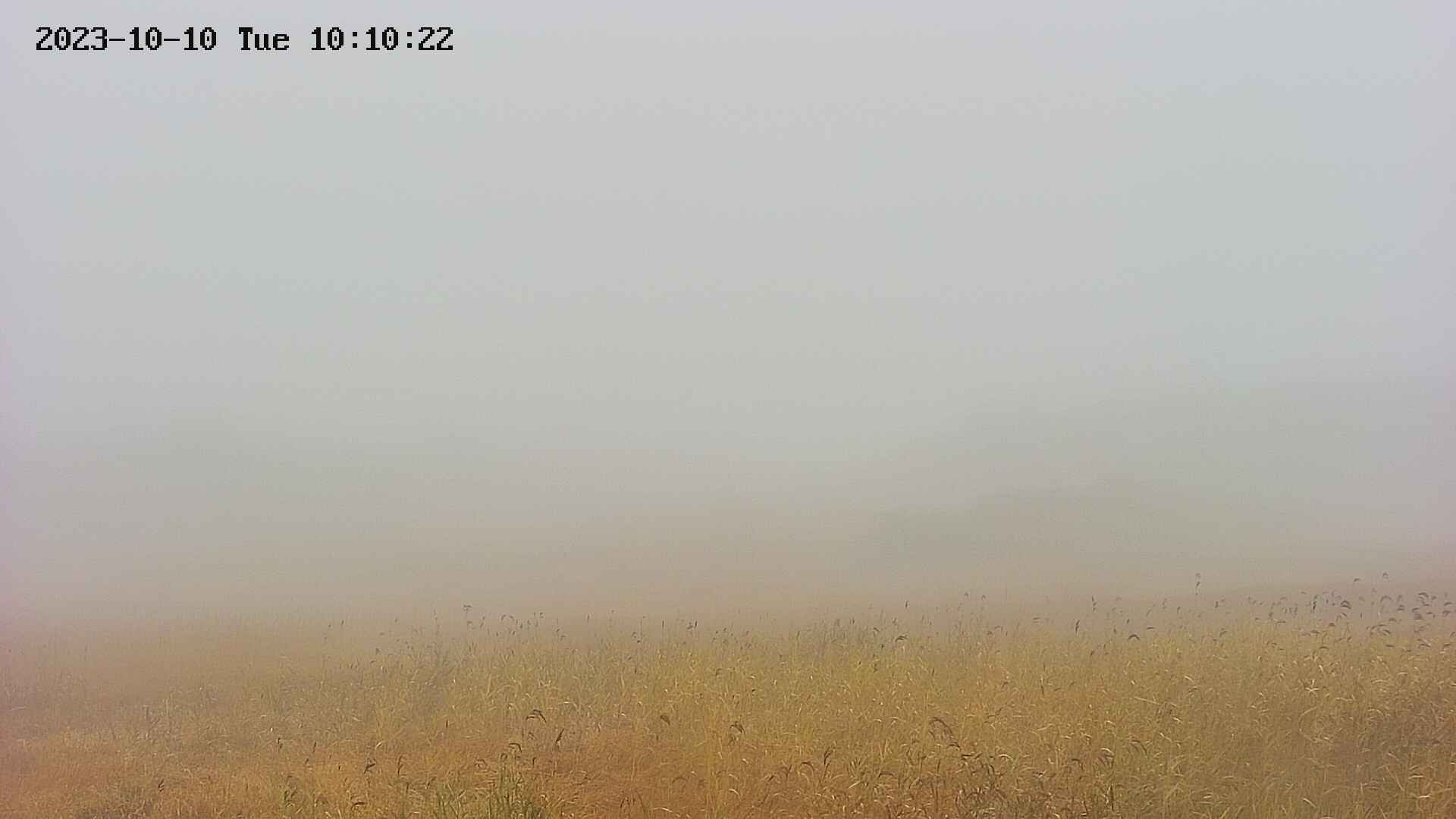 area3-20231010101023.jpg
