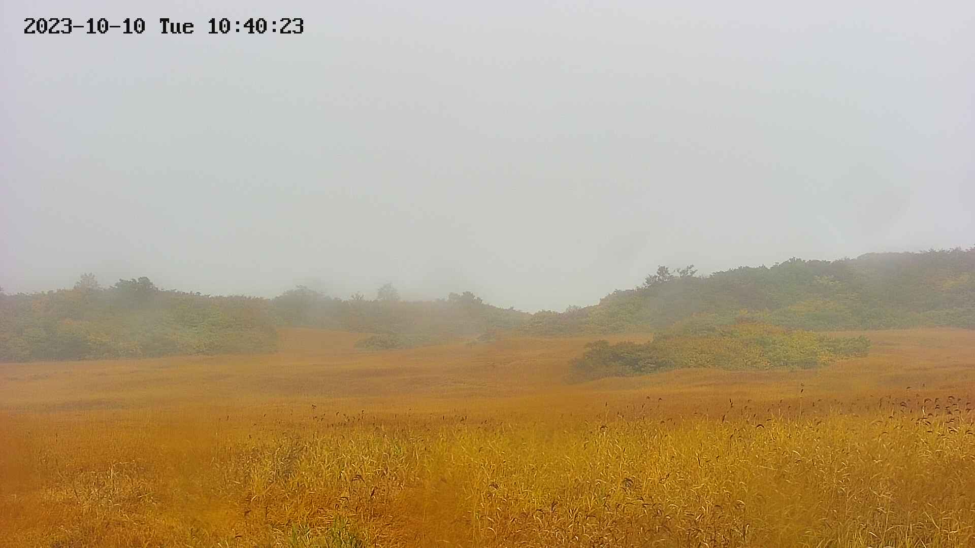 area3-20231010104025.jpg
