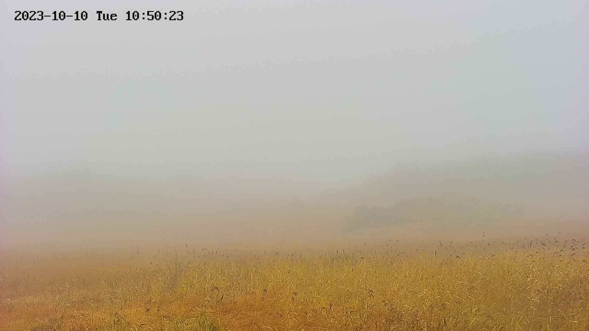 area3-20231010105024.jpg
