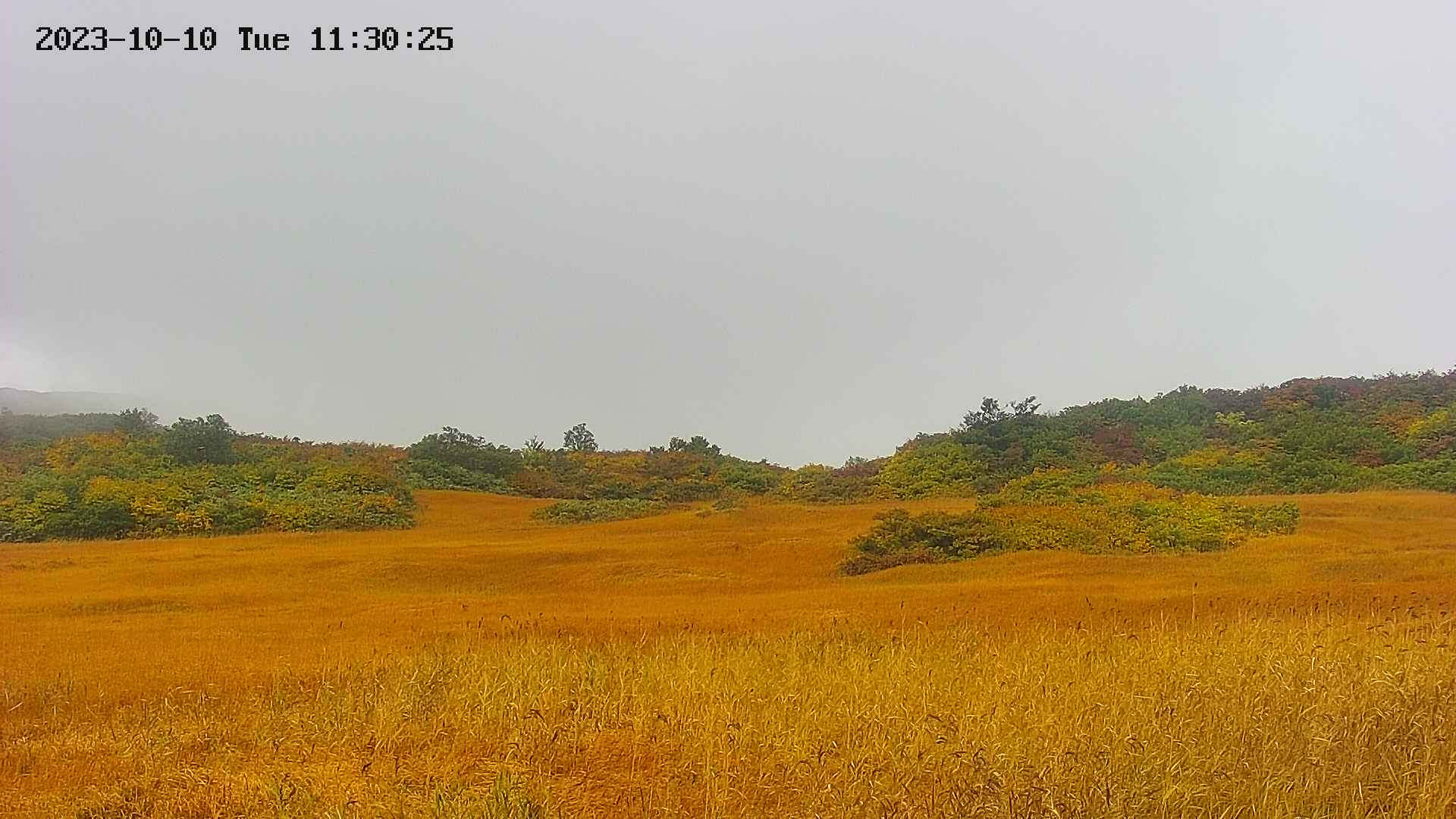 area3-20231010113027.jpg