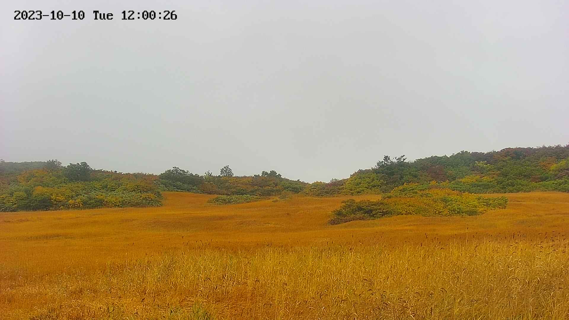 area3-20231010120029.jpg