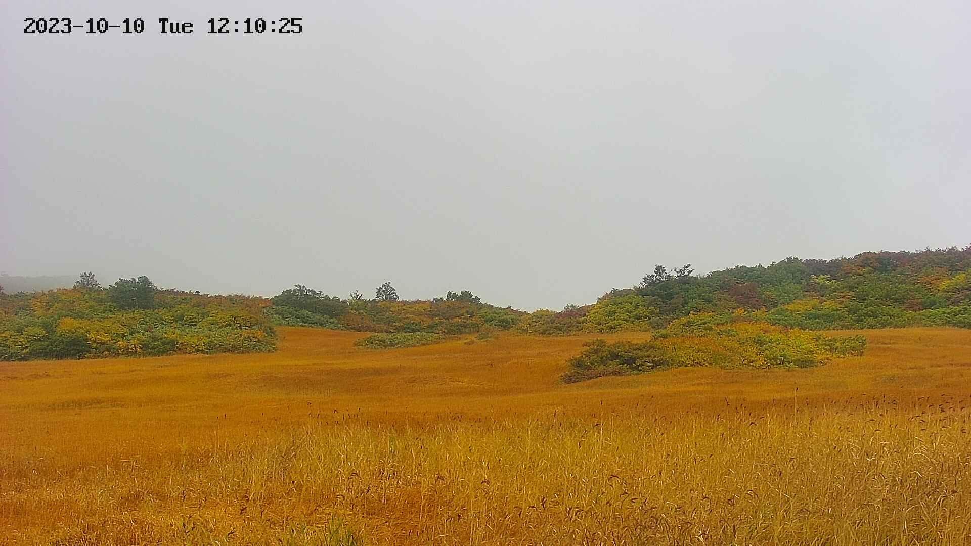 area3-20231010121028.jpg