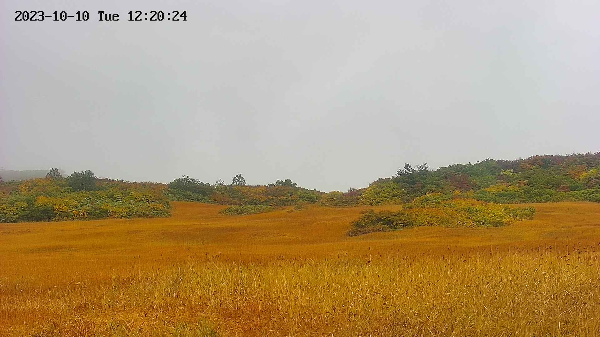 area3-20231010122028.jpg