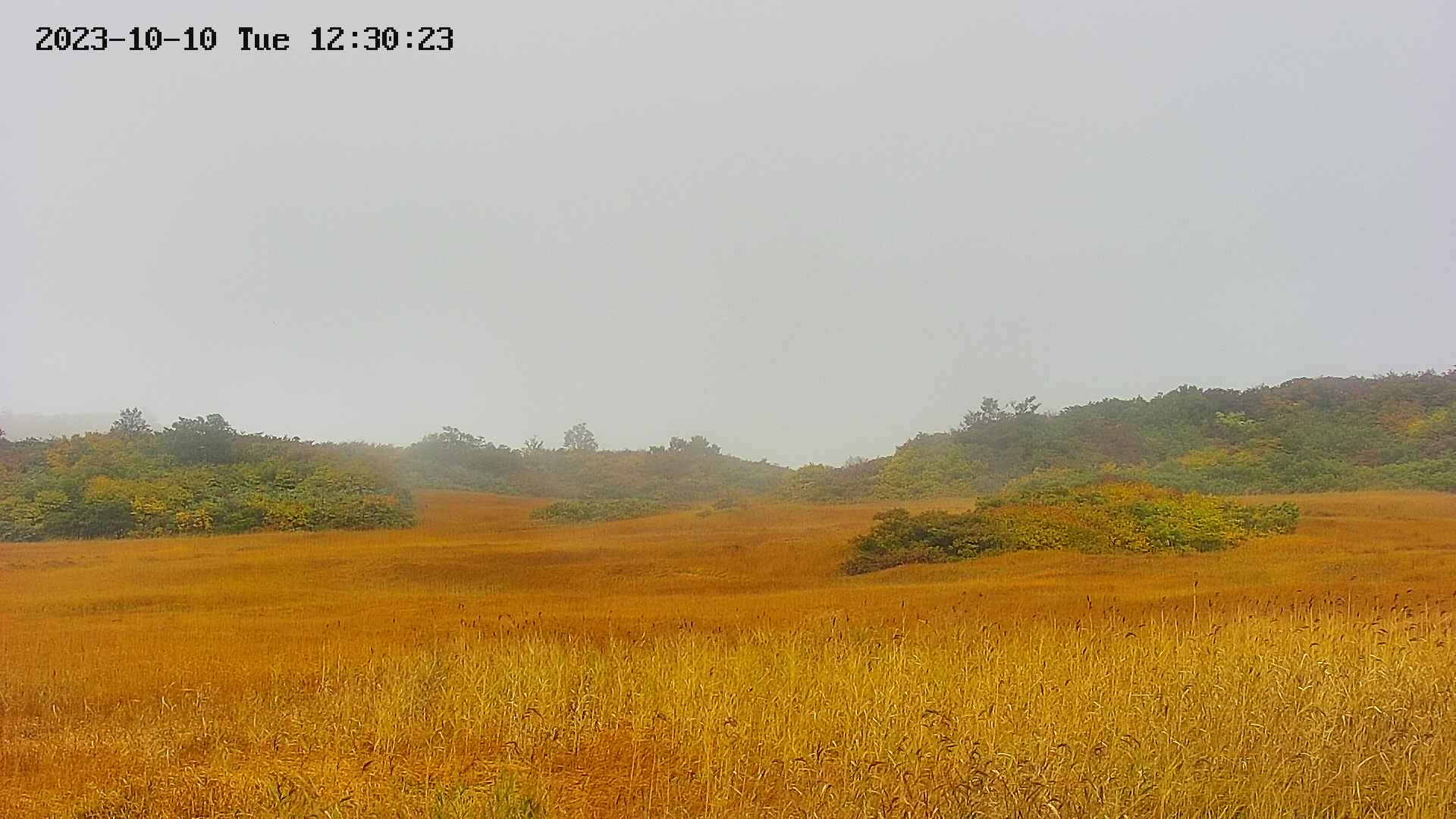 area3-20231010123025.jpg