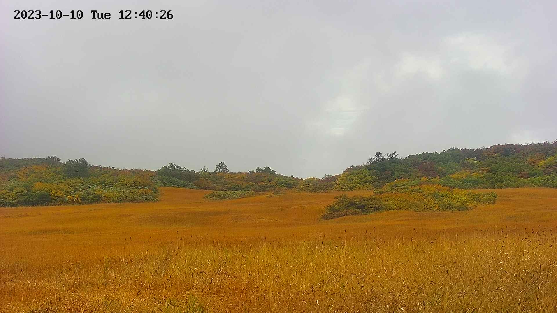 area3-20231010124030.jpg
