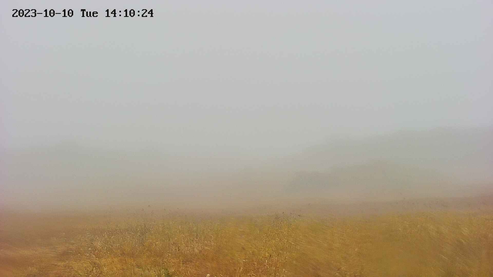 area3-20231010141027.jpg