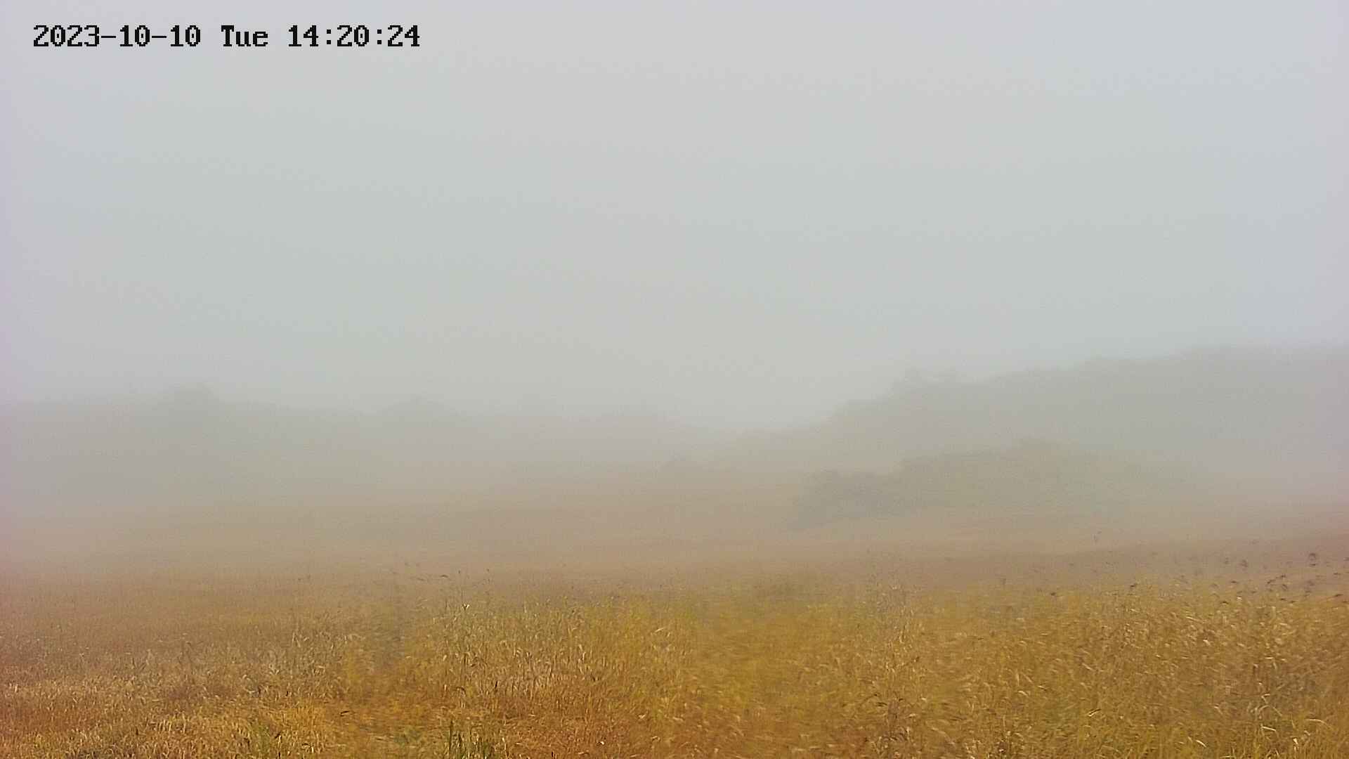 area3-20231010142028.jpg
