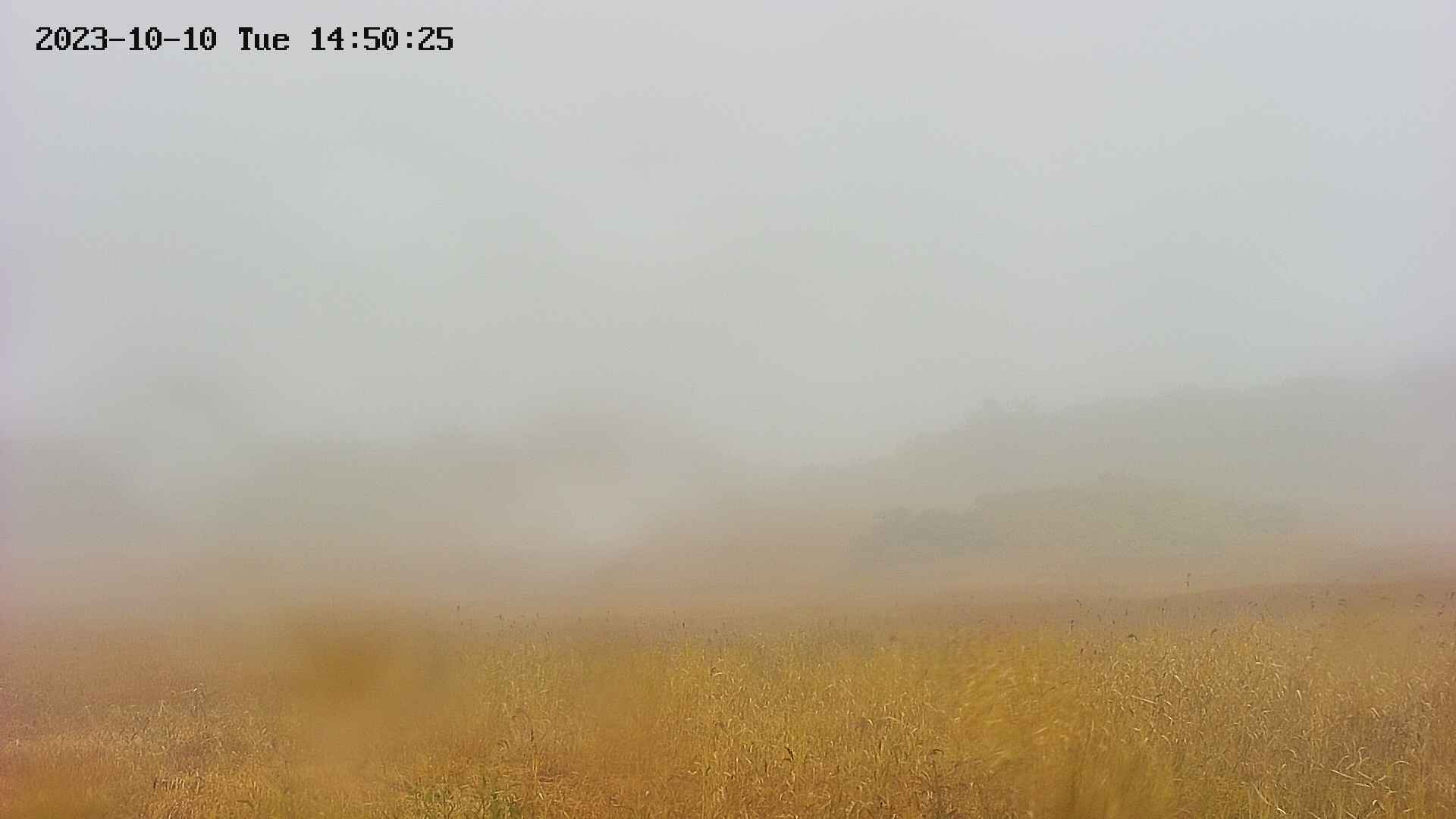area3-20231010145026.jpg