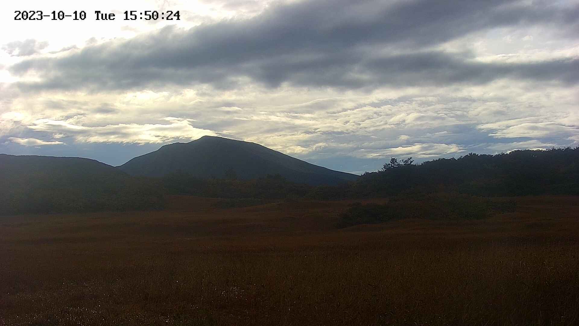 area3-20231010155024.jpg
