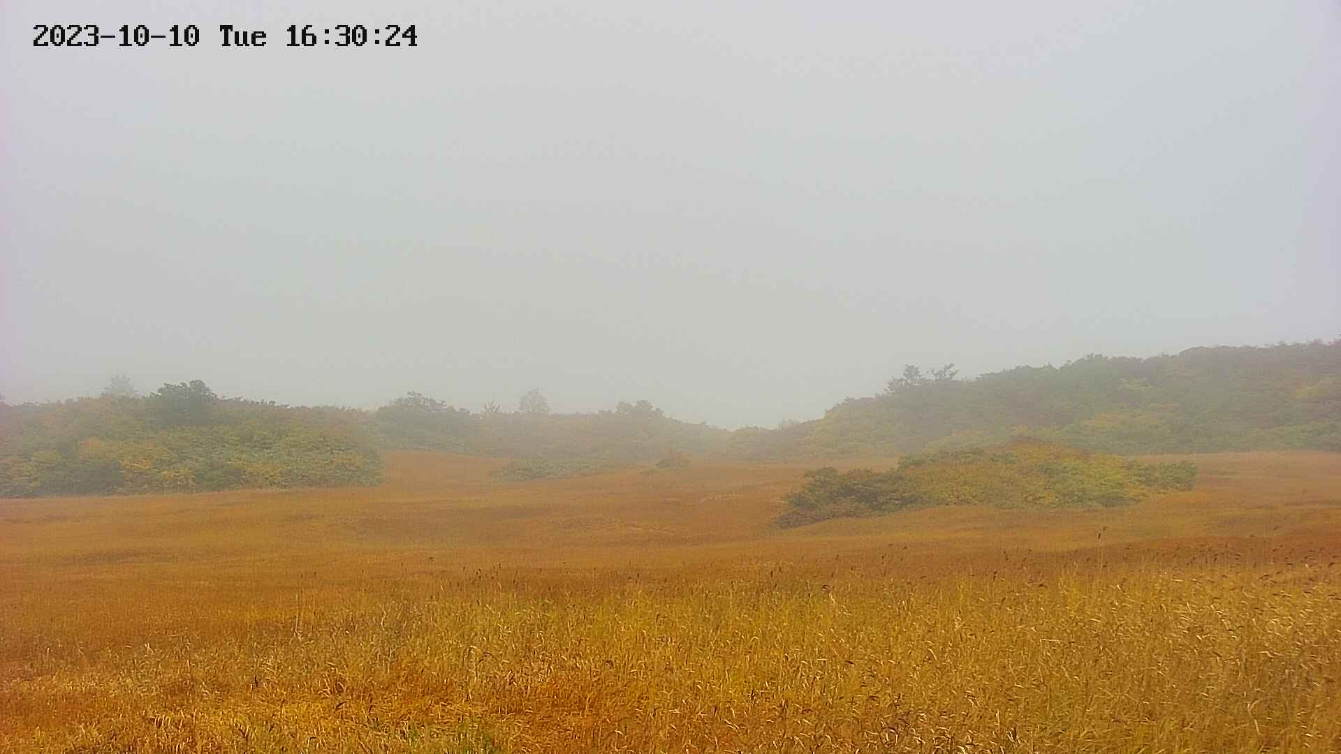 area3-20231010163025.jpg