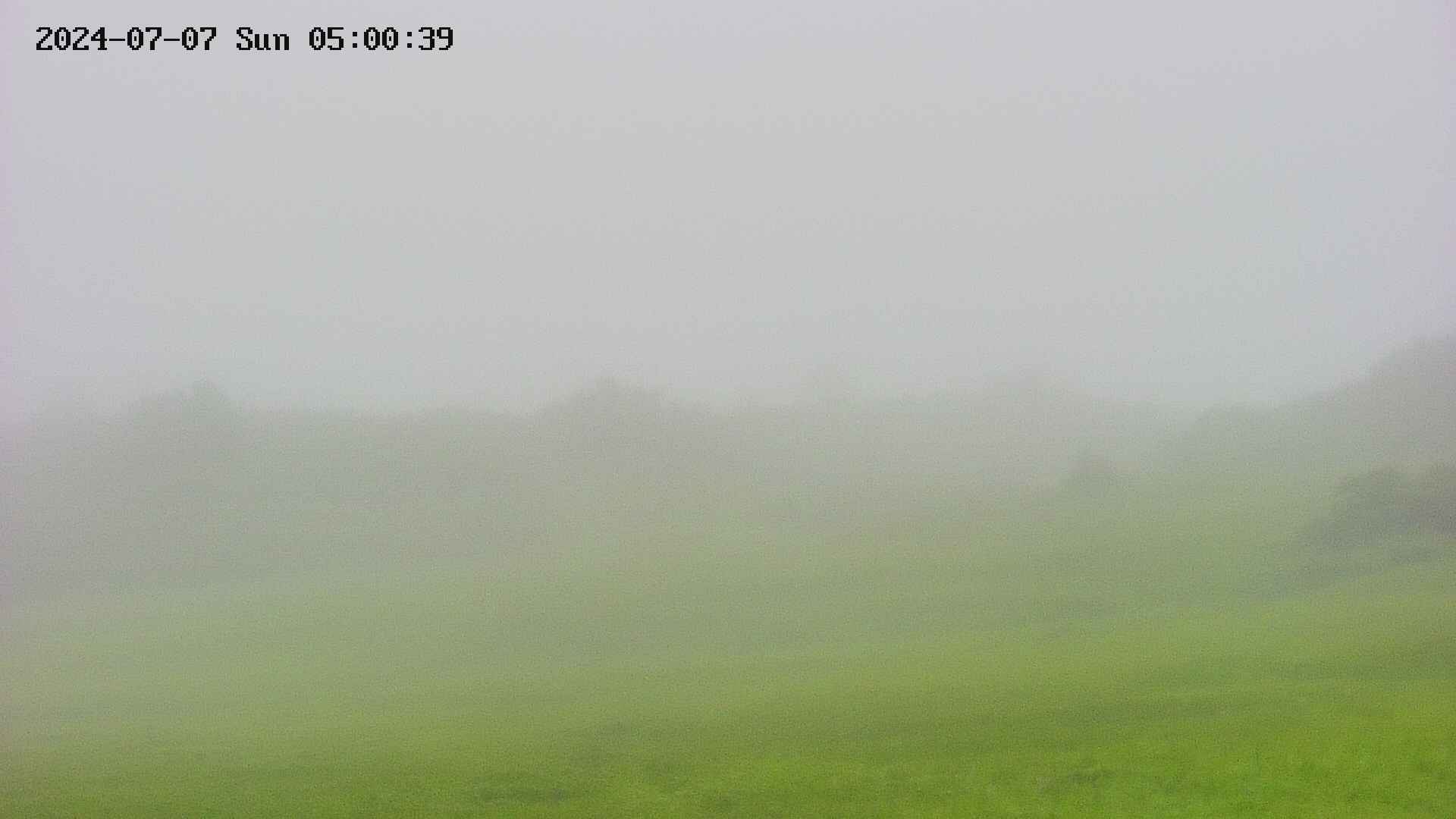 area3-20240707050042.jpg