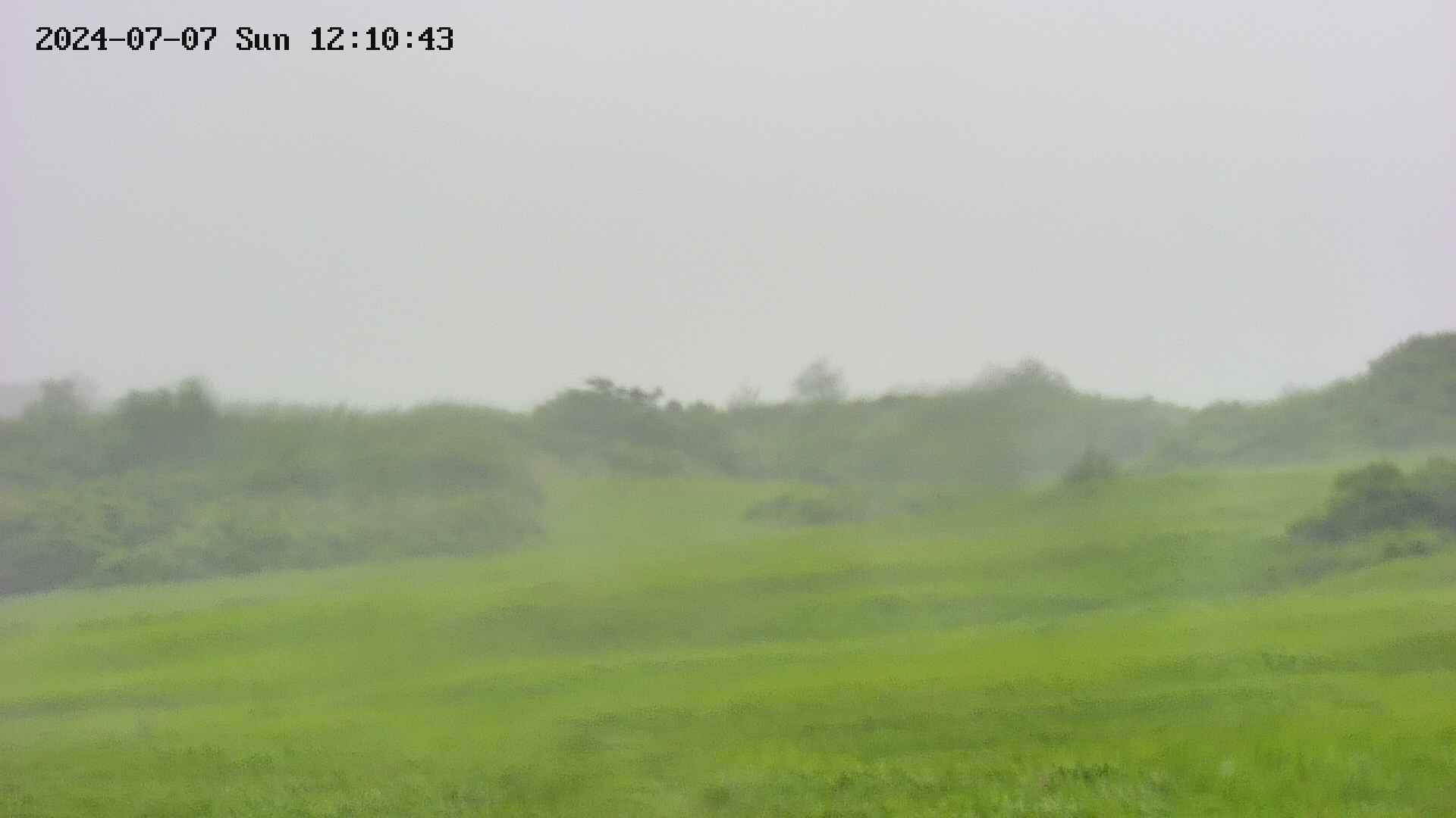 area3-20240707121043.jpg