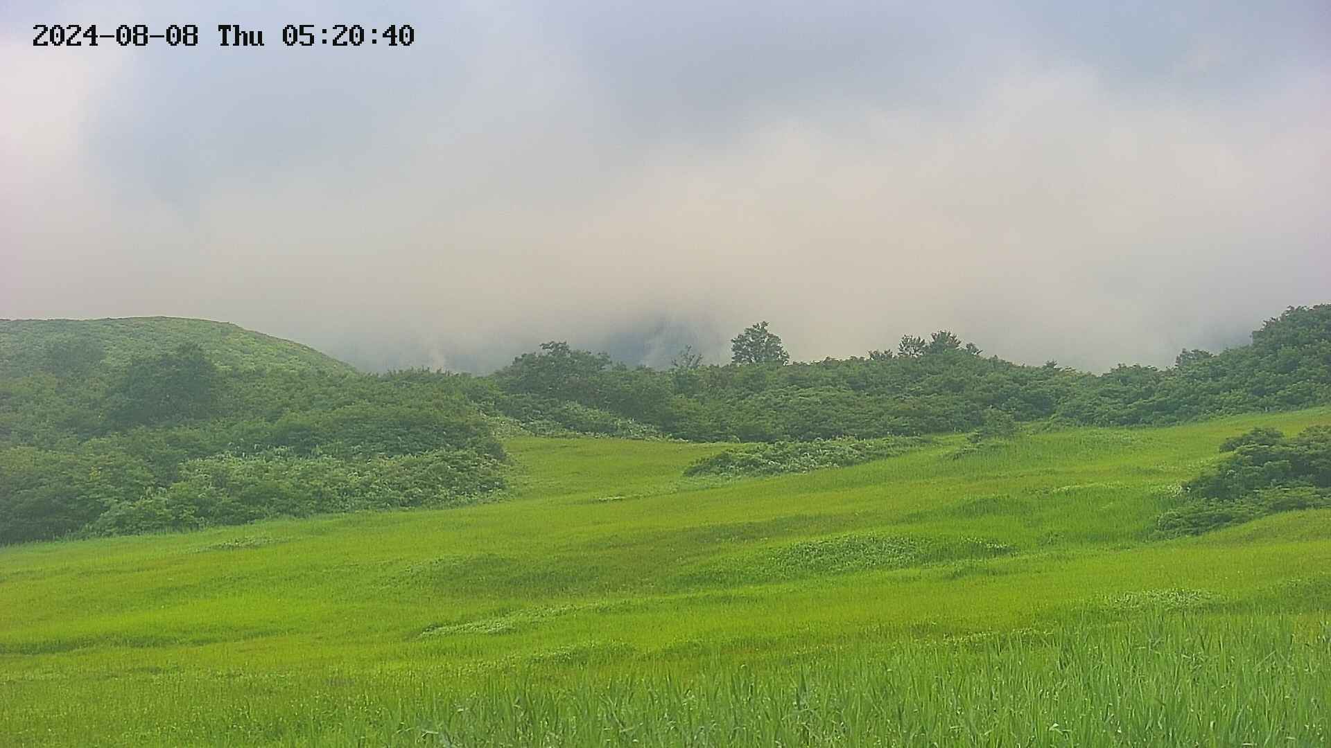 area3-20240808052041.jpg