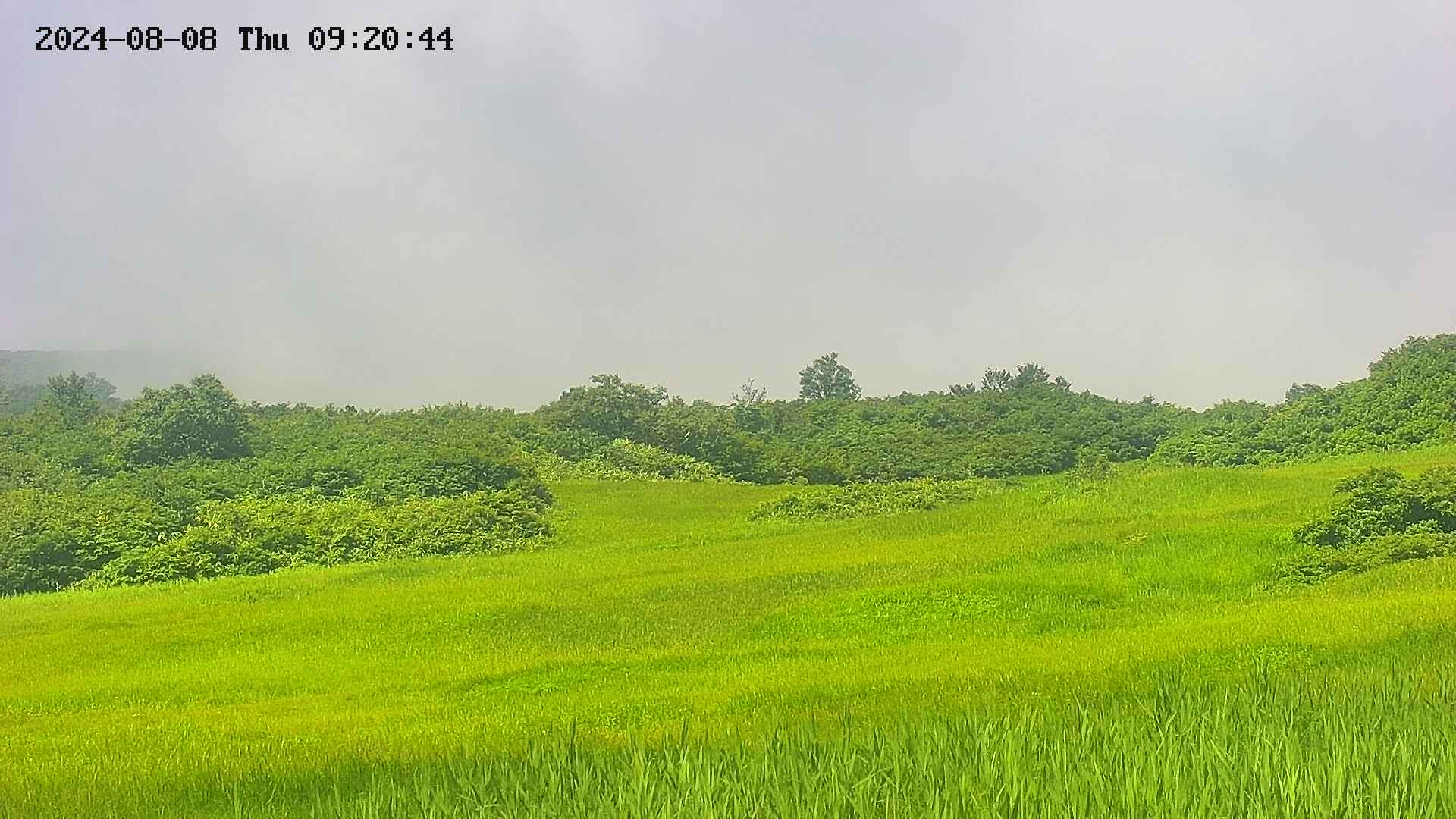 area3-20240808092045.jpg