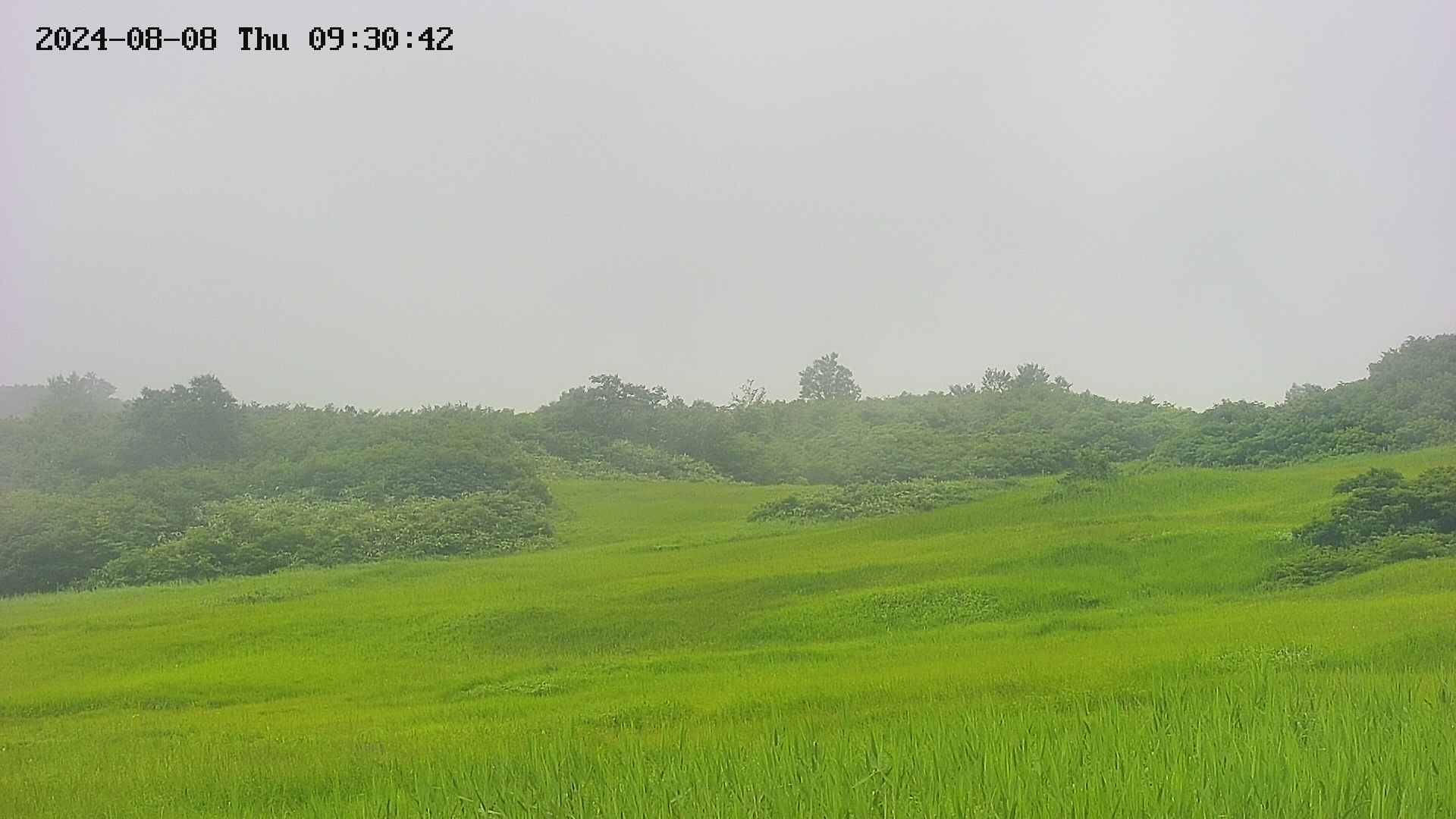 area3-20240808093043.jpg