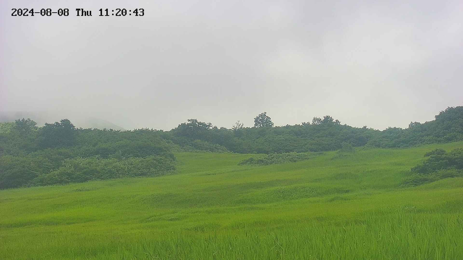 area3-20240808112043.jpg