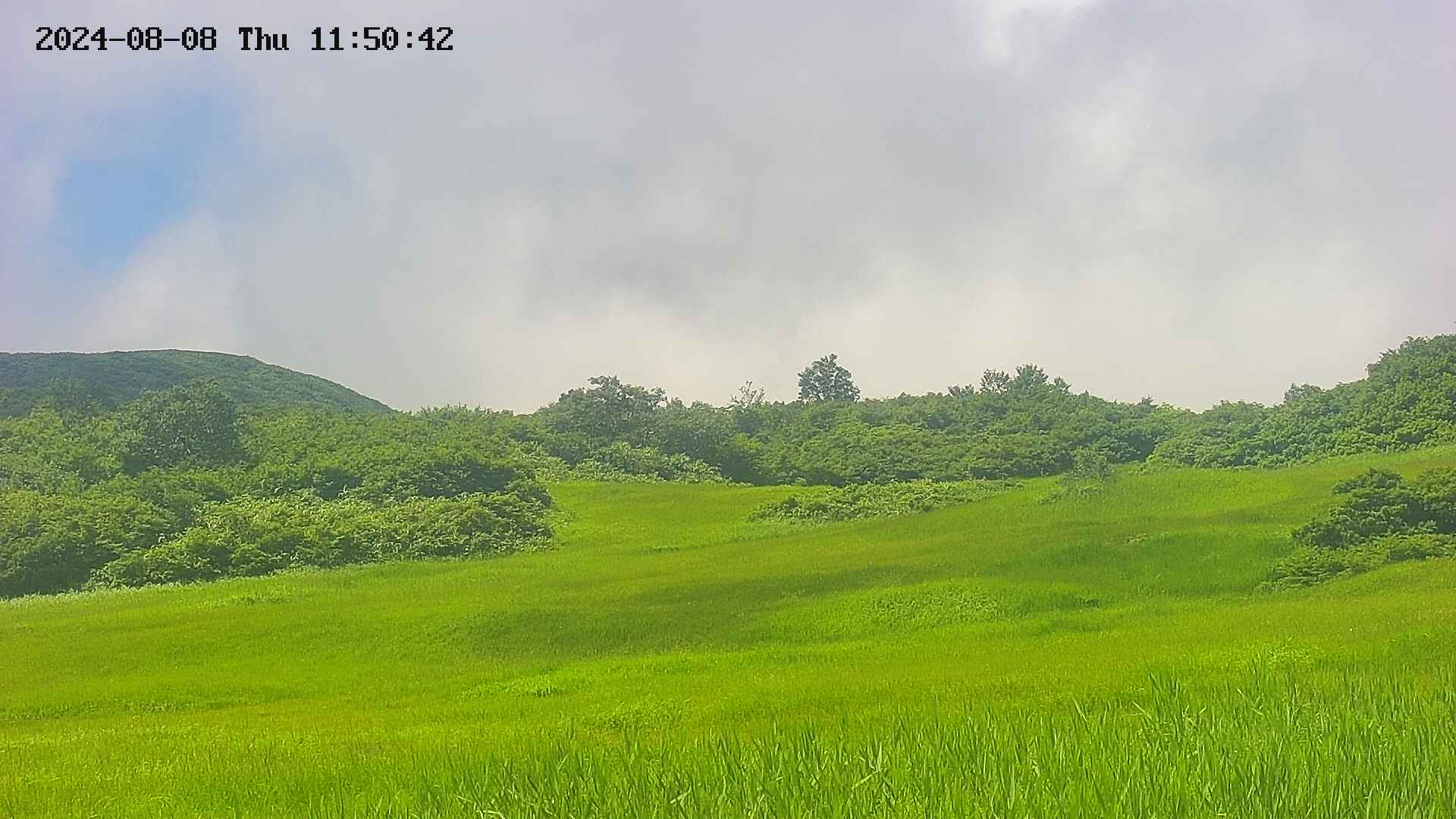 area3-20240808115043.jpg