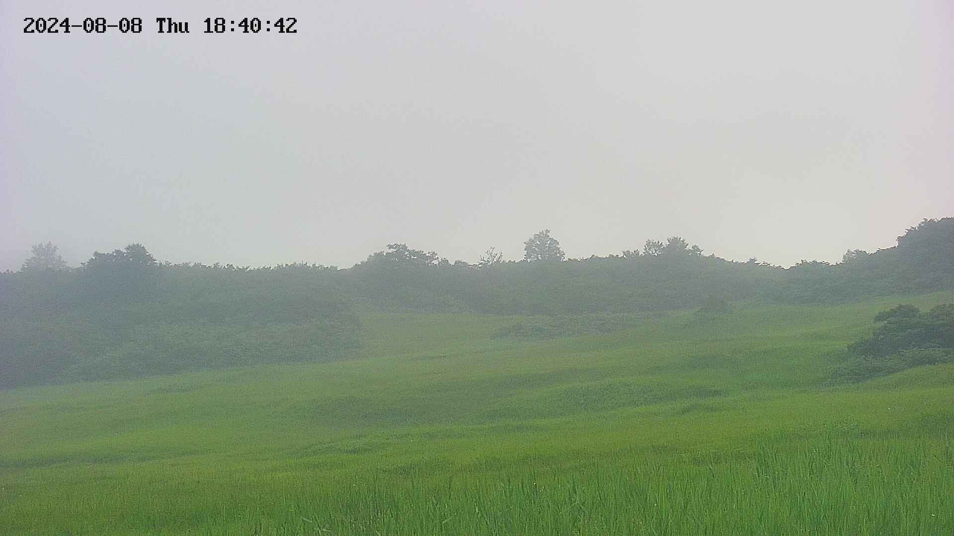 area3-20240808184042.jpg