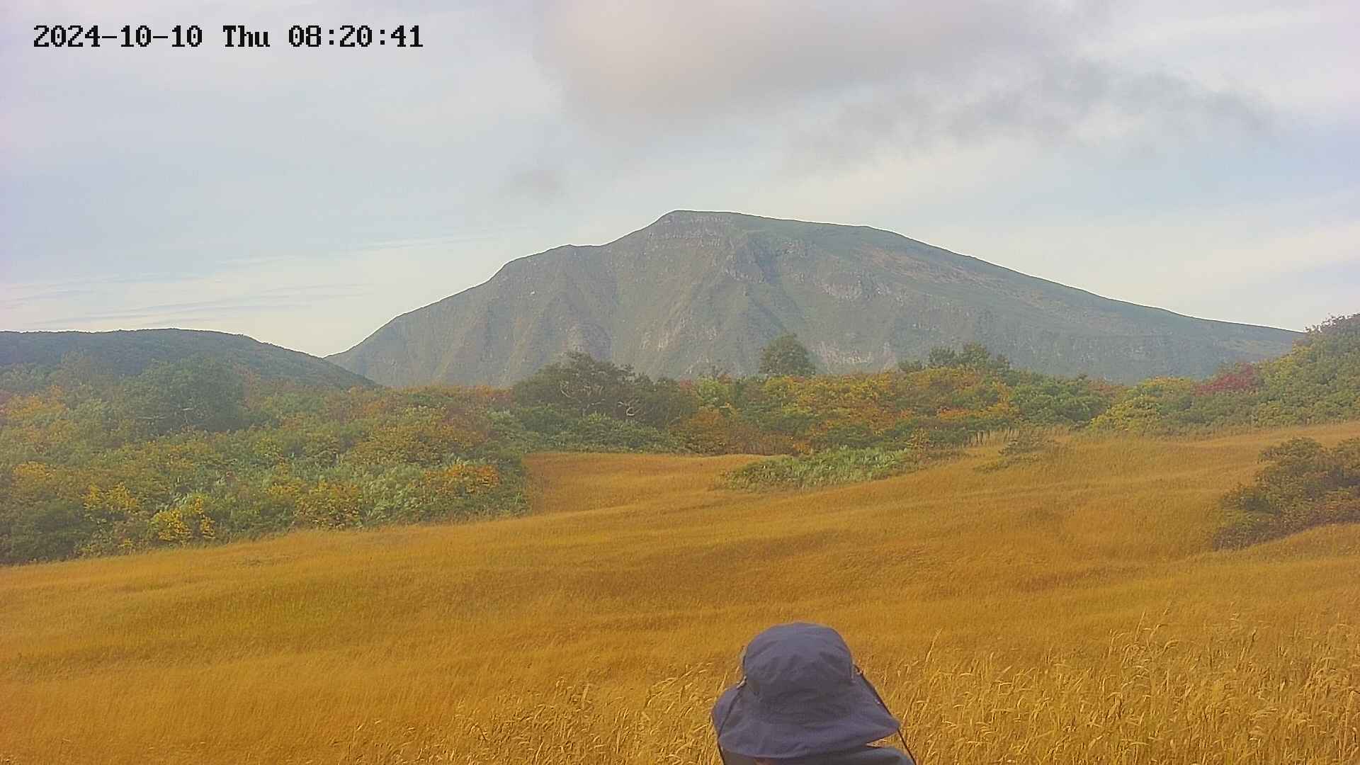 area3-20241010082042.jpg
