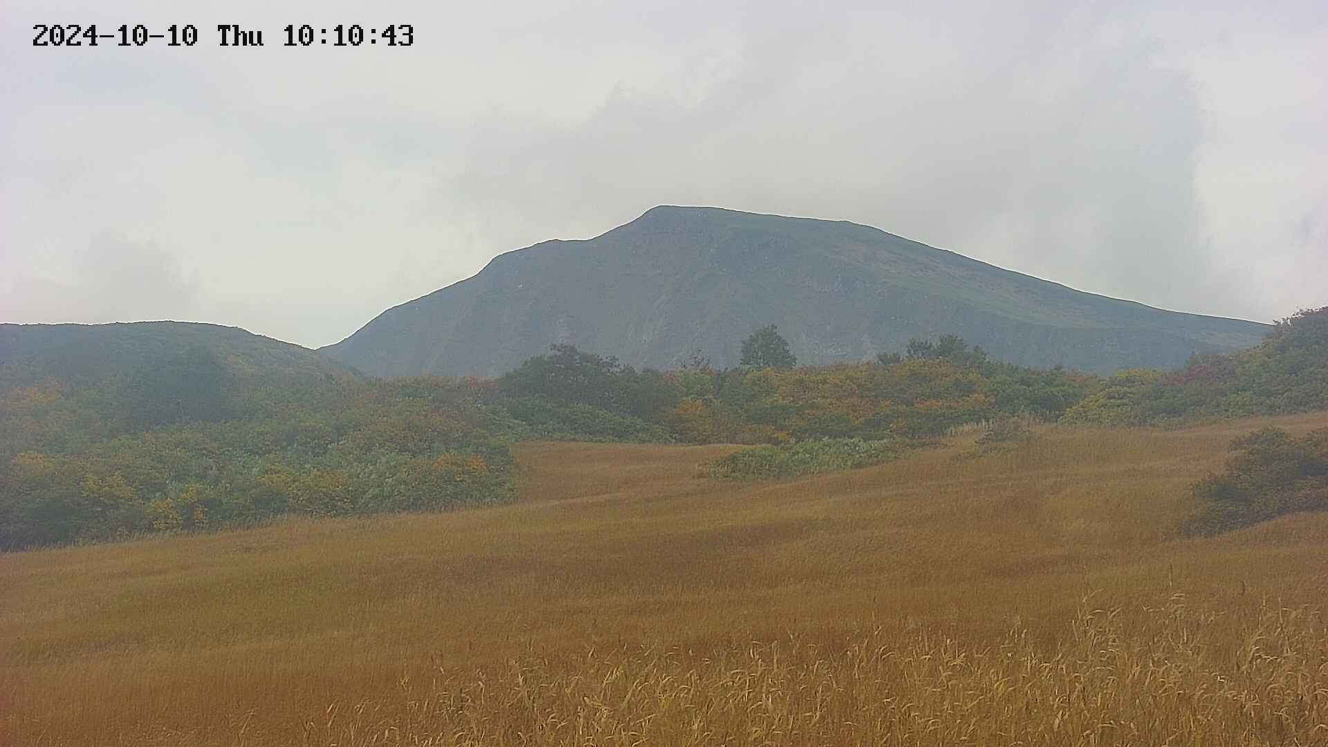 area3-20241010101044.jpg