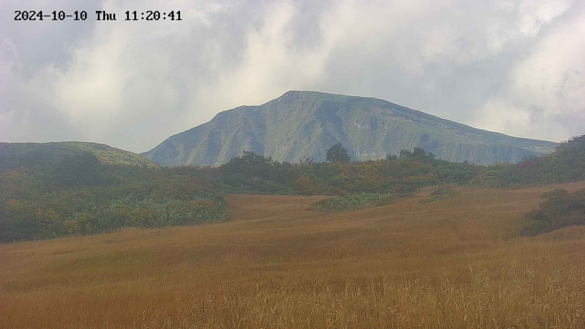 area3-20241010112042.jpg