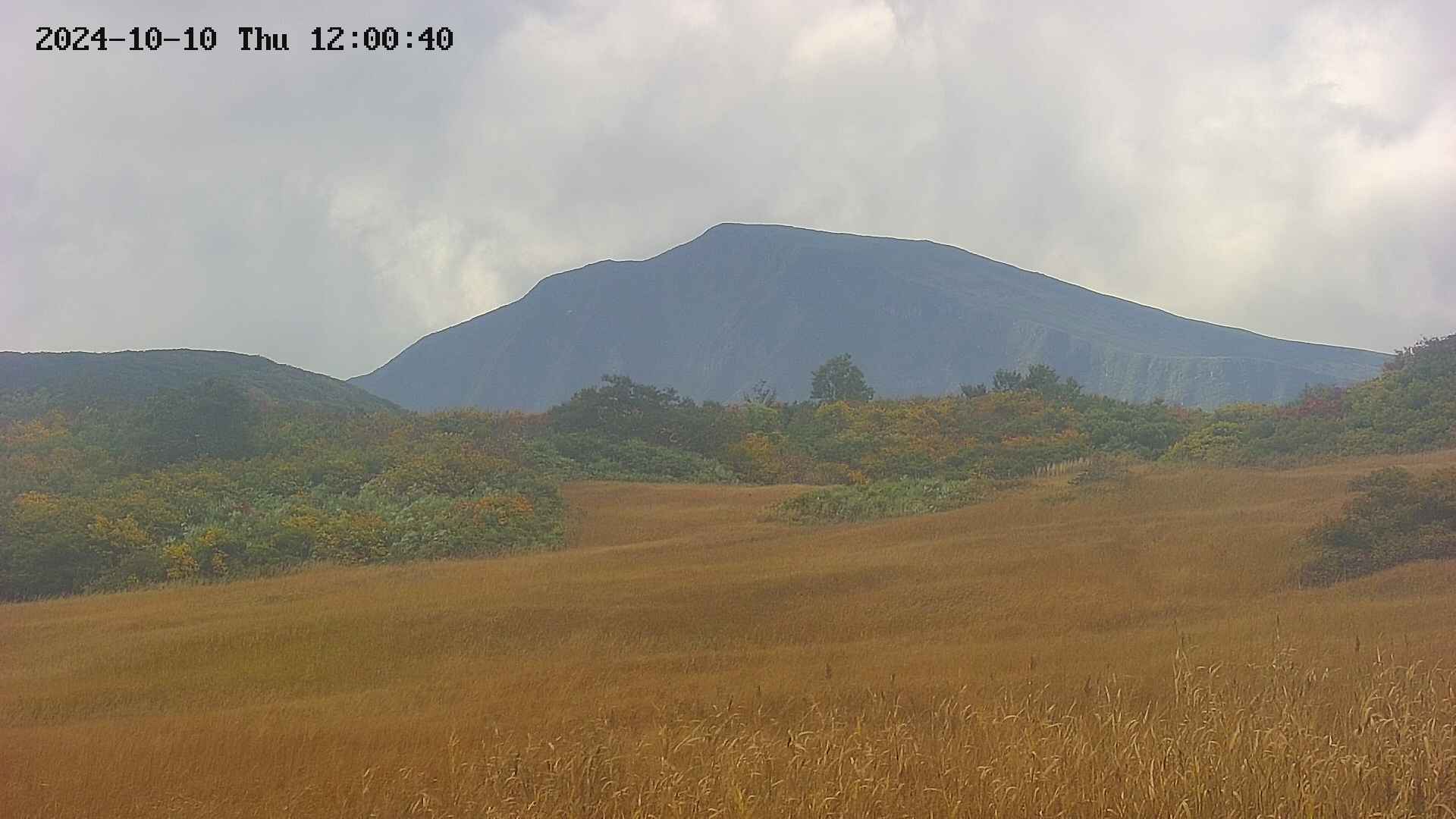 area3-20241010120042.jpg