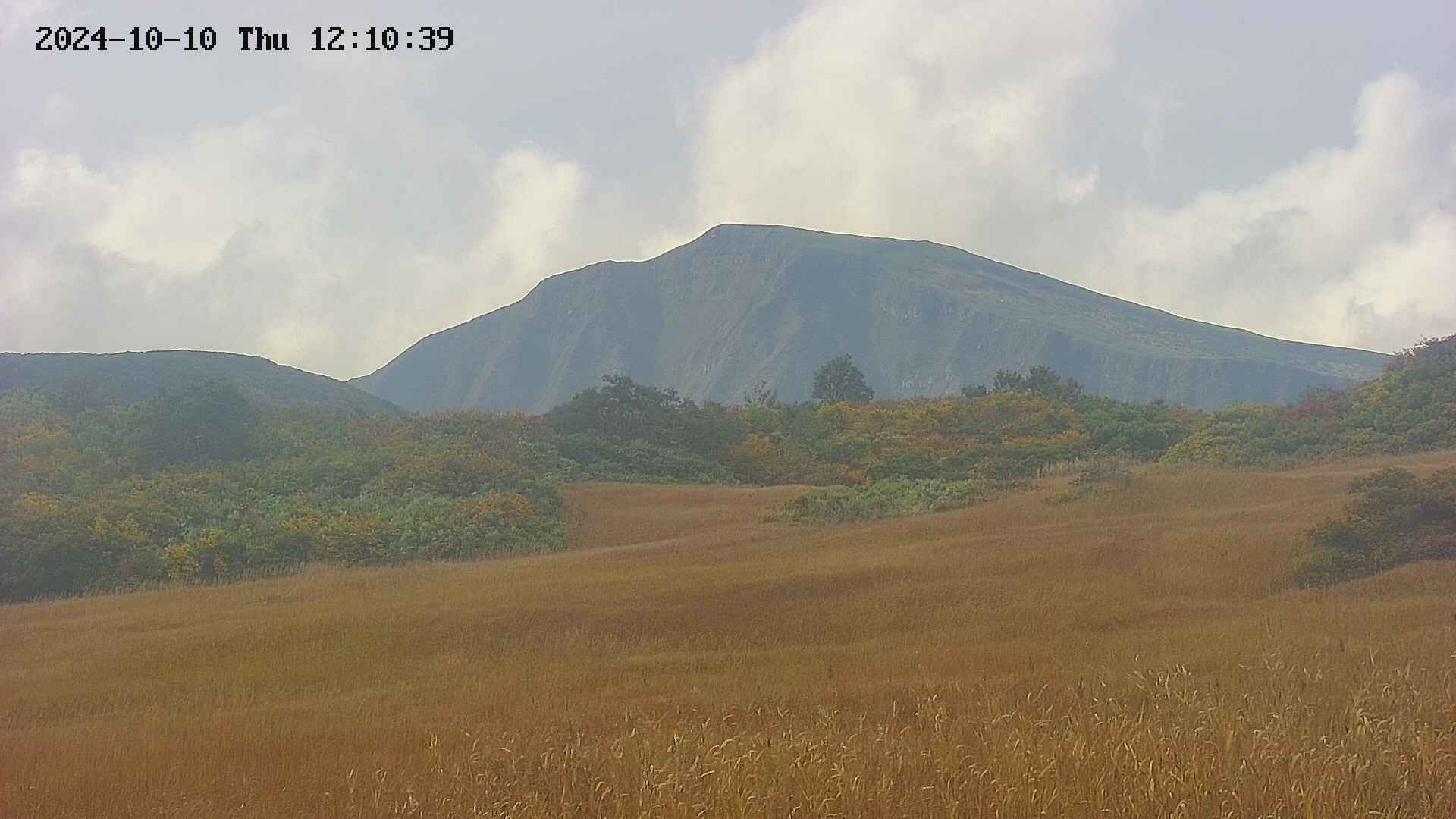 area3-20241010121041.jpg