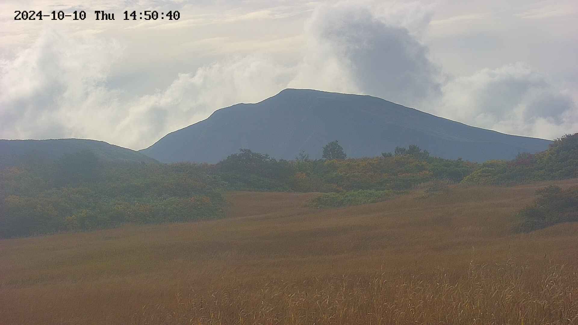 area3-20241010145042.jpg