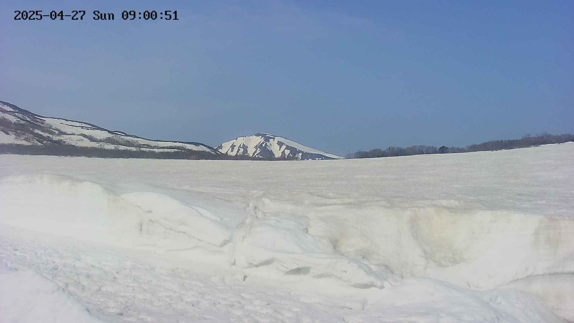 area3-20250427090053.jpg