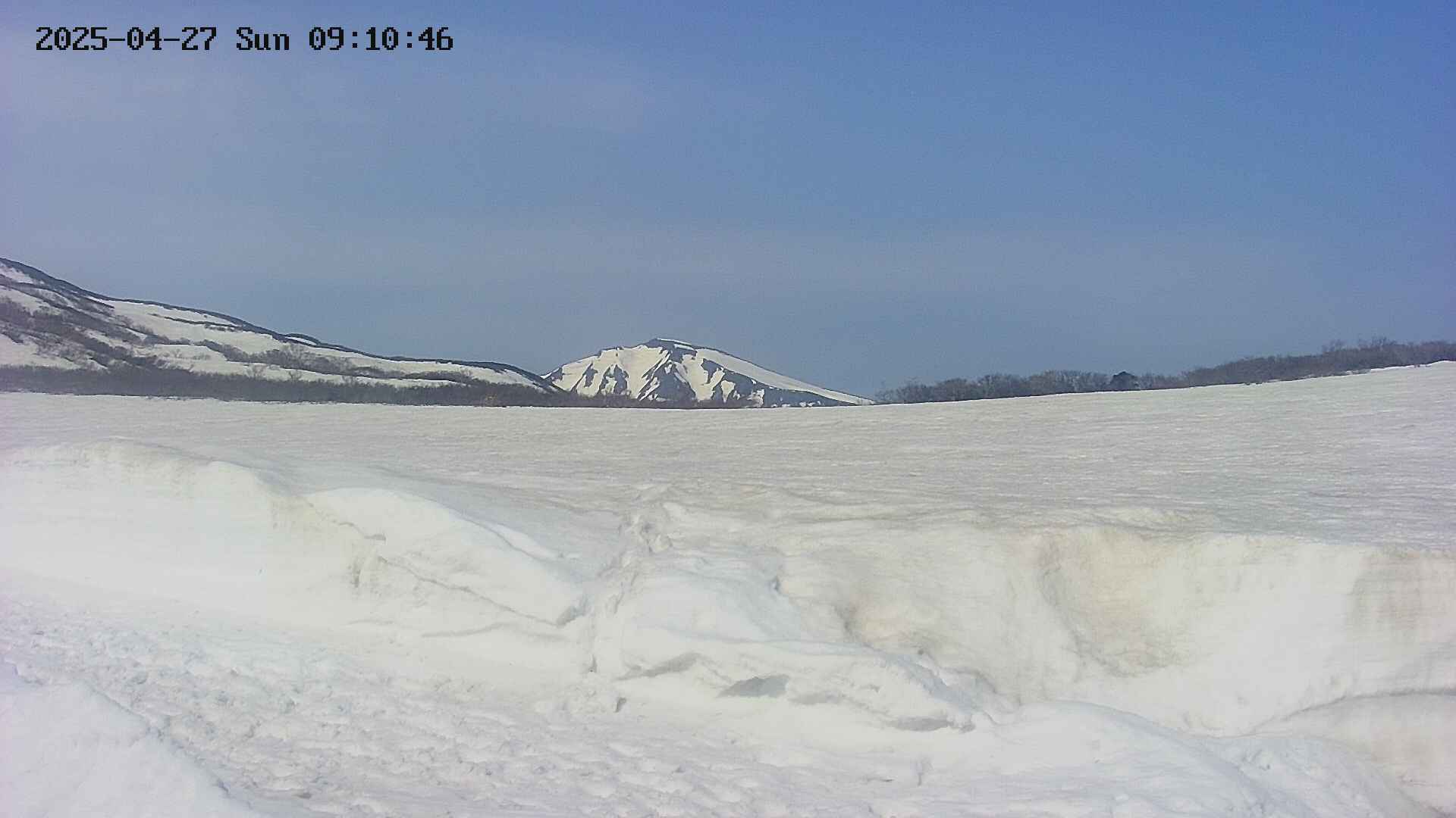 area3-20250427091048.jpg