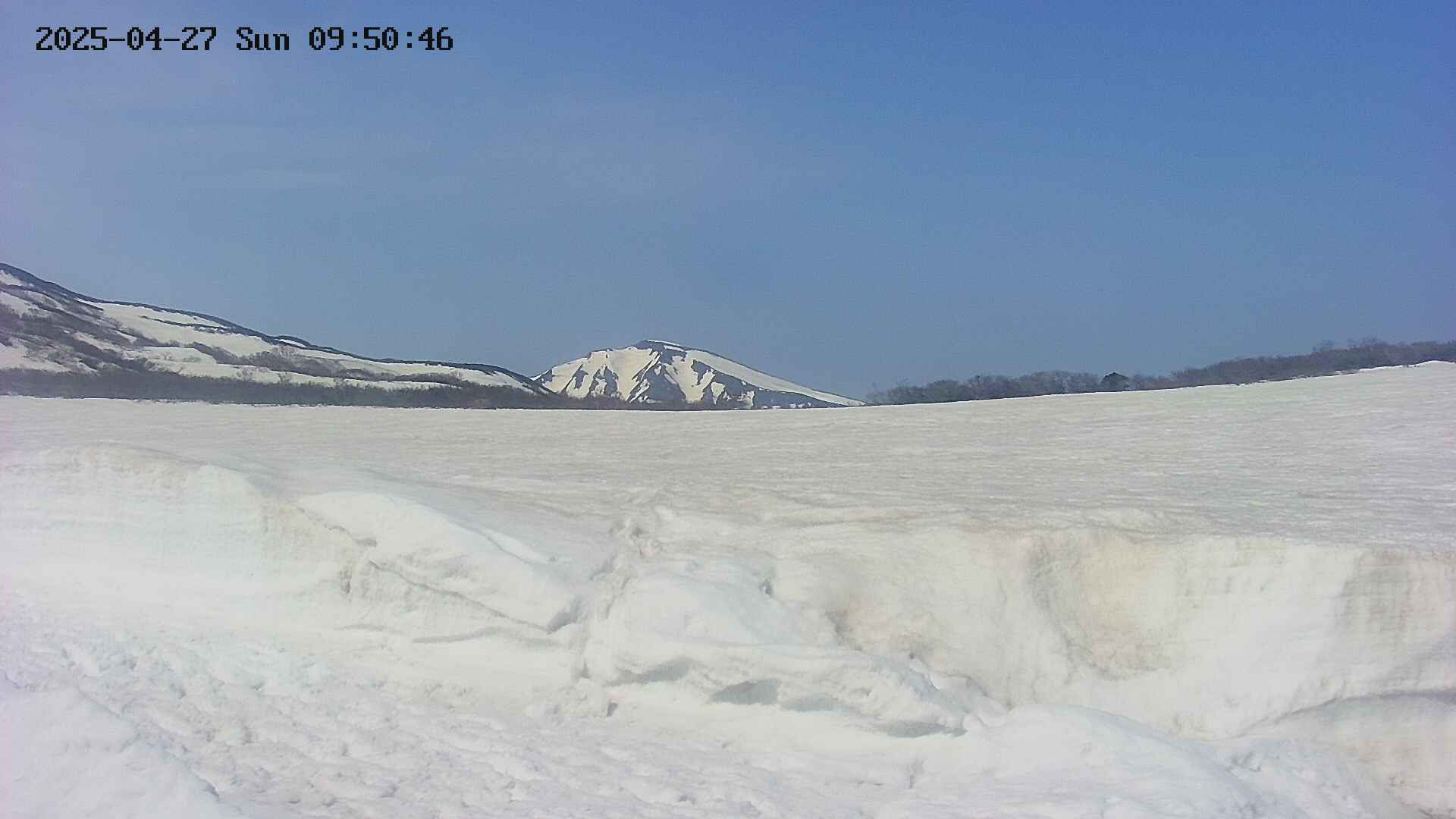 area3-20250427095048.jpg