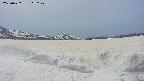 area3-20250427115250.jpg