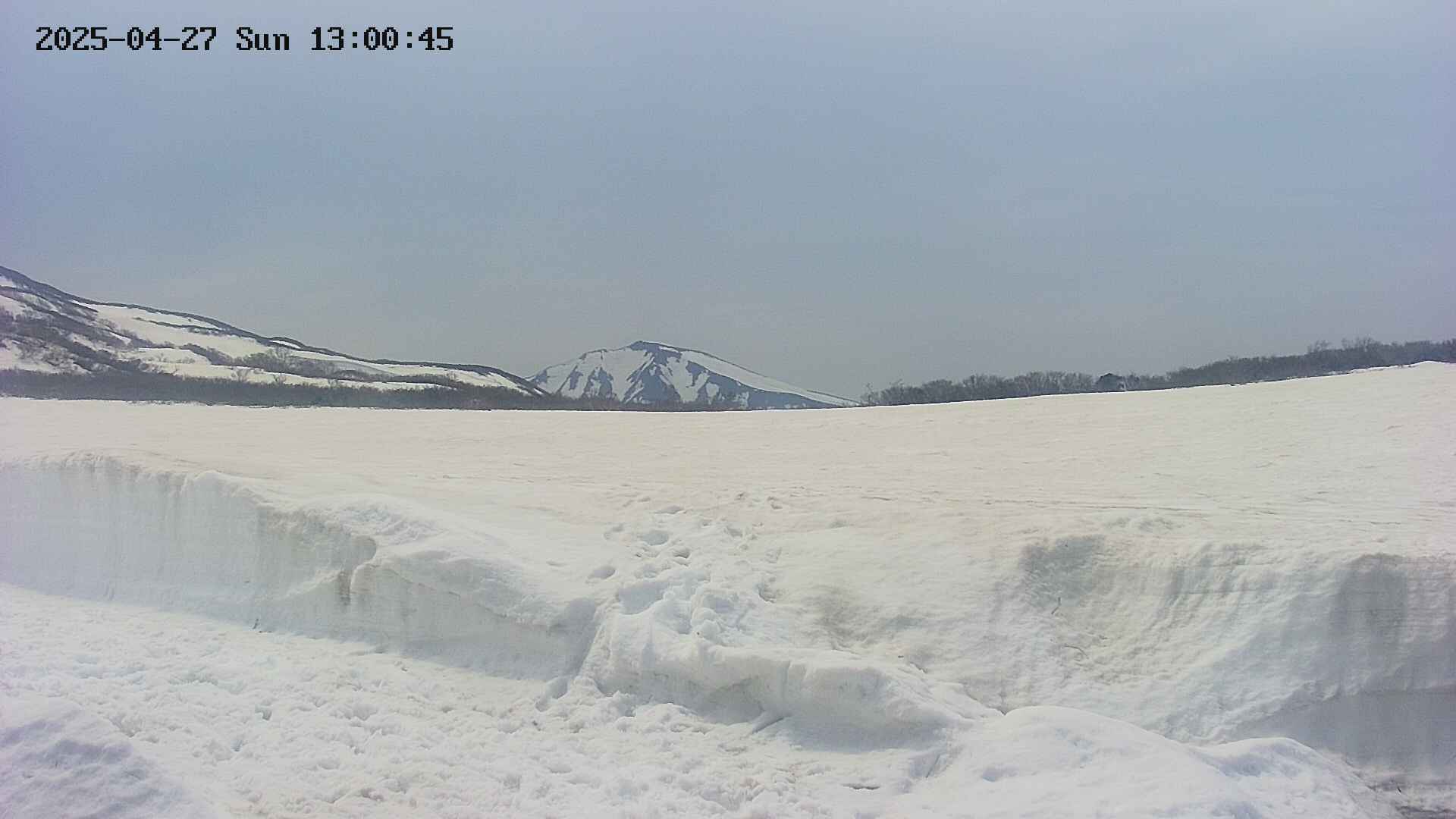 area3-20250427130047.jpg