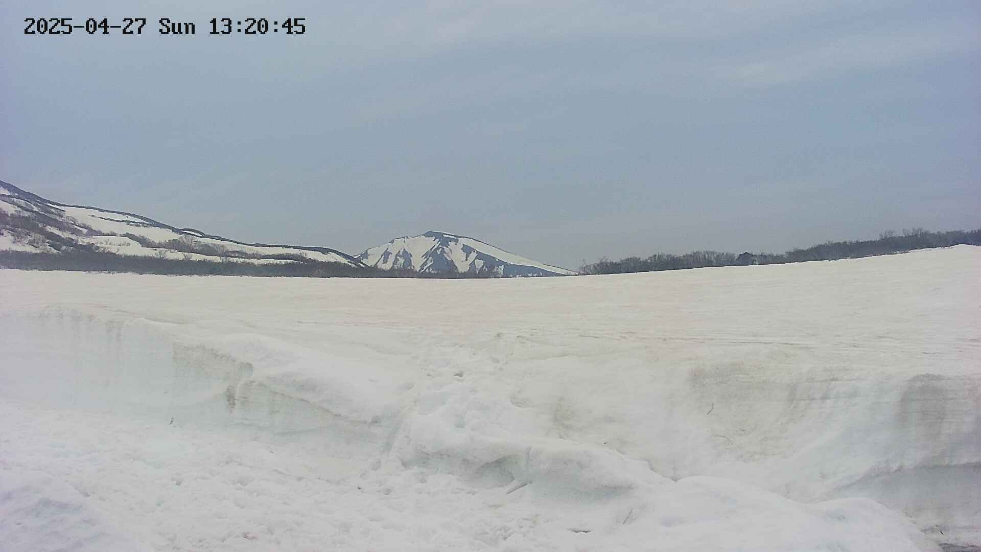 area3-20250427132048.jpg